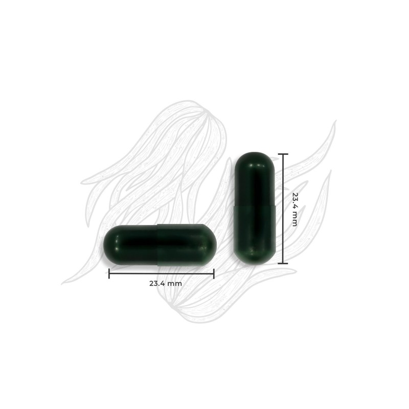 ESPIRULINA & CHLORELLA