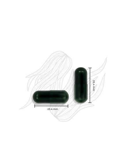 ESPIRULINA & CHLORELLA